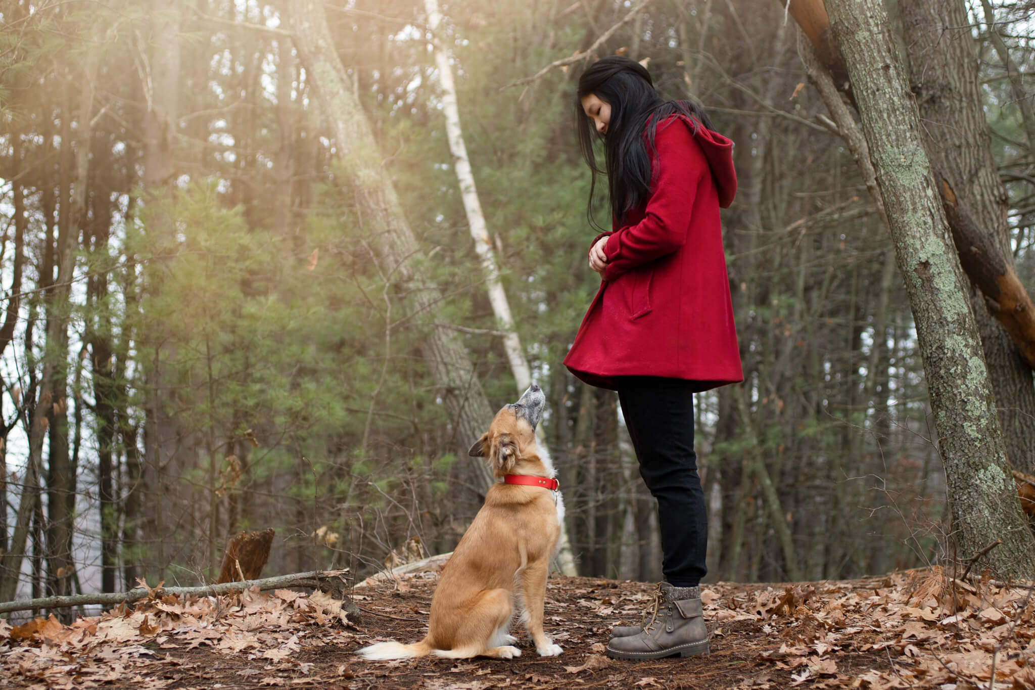 Woman in reed jack stands above her sitting tan dog Red Flags When Adopting a Dog